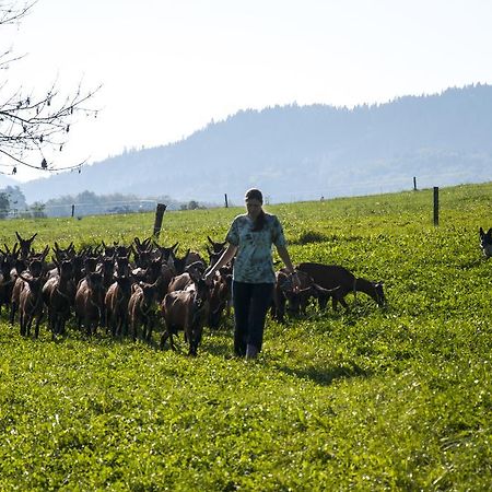 Agroturistika Kozi Farma Rožnov pod Radhoštěm 外观 照片